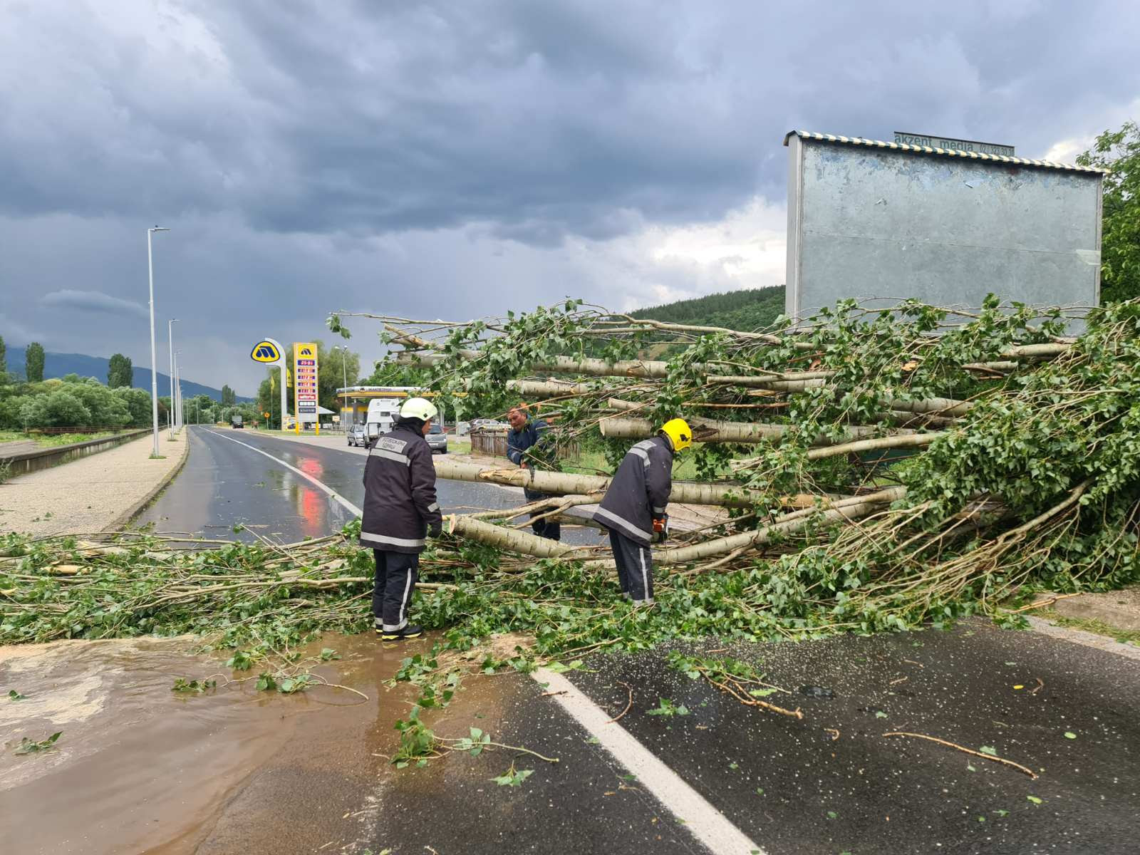 Невремето откорна дрвја и попречи патишта во Кривопаланечко (ФОТО)